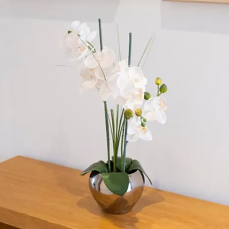 Mandarina 119 * San Miguel de Abona